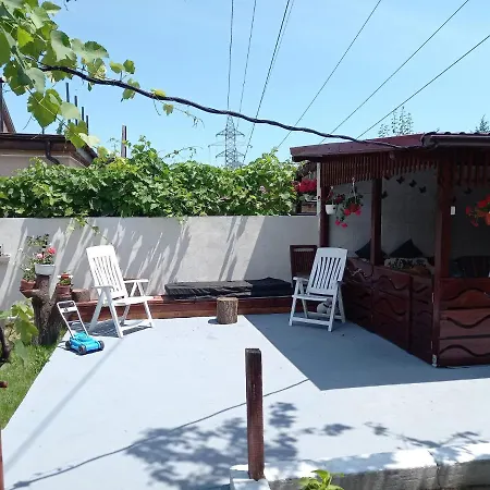 Alex Home *