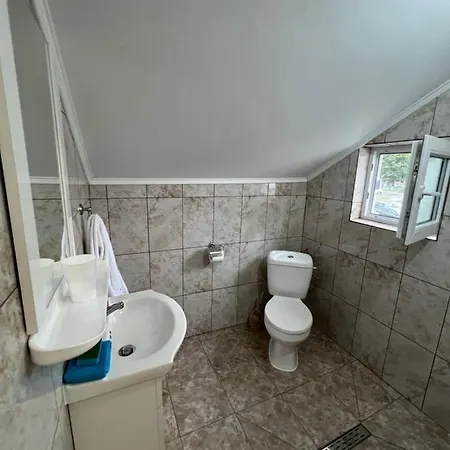 Alex Home Năvodari